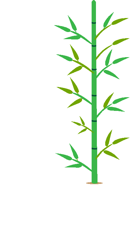 Division example with bamboo tree